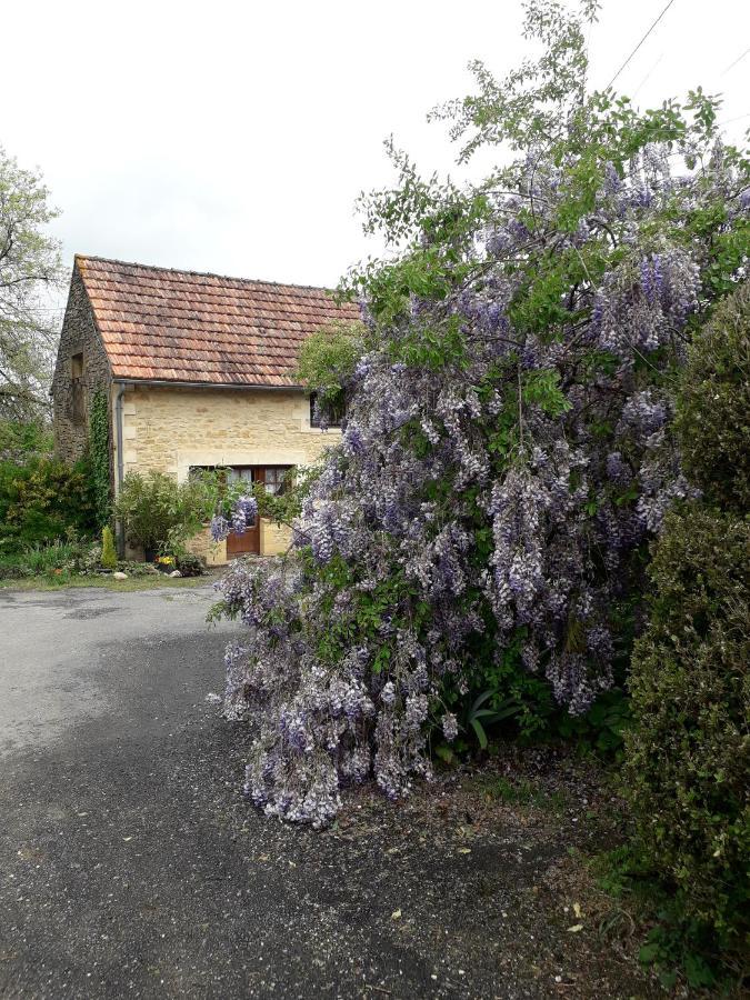 Halte Aux Places Marcillac-Saint-Quentin Luaran gambar